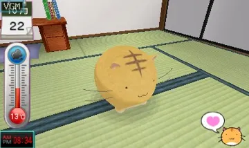 Poyo Poyo Kansatsu Nikki (Japan) screen shot game playing